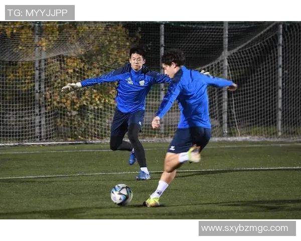 足球星签名：我的心爱之物与足球的深厚情缘与梦想追逐